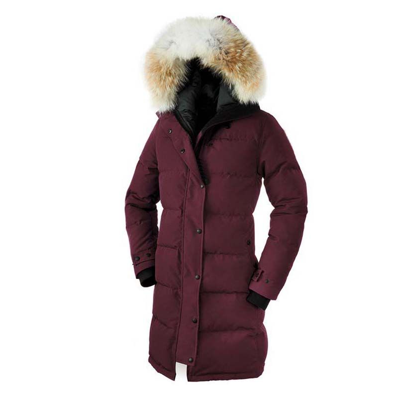 Ladies goose hotsell down coat