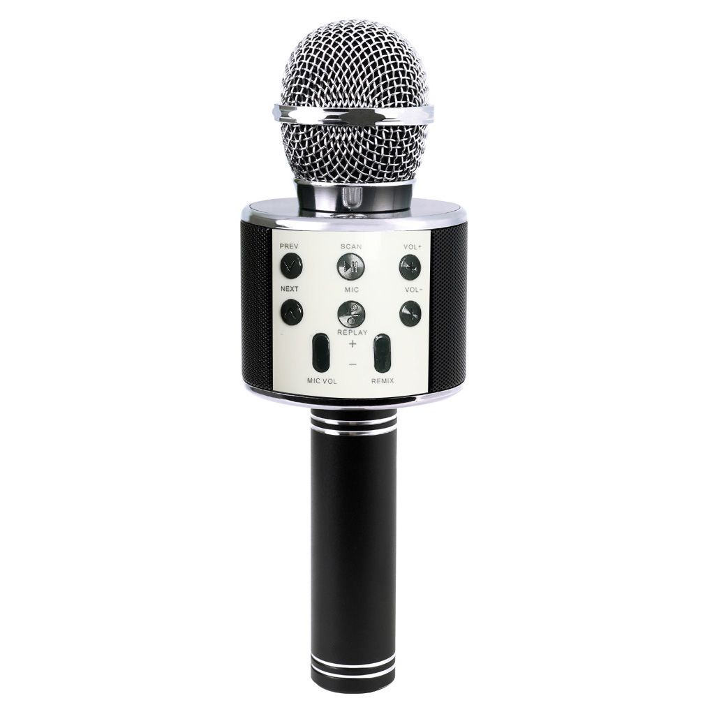 speaker portable mic