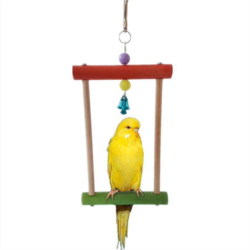 parakeet swing
