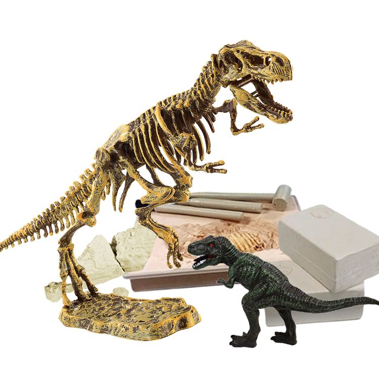 2021 Diy 3d Tyrannosaurus Triceratops Dinosaur Fossil Bones Puzzle Excavation Dig Toy Learning Education Stem Science Kit From Banatoys2017 22 11 Dhgate Com