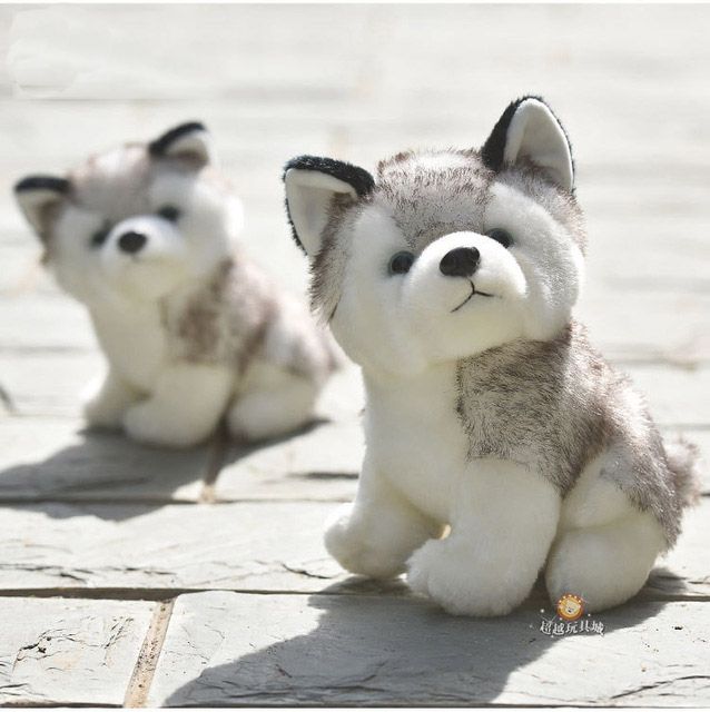 juguetes para husky