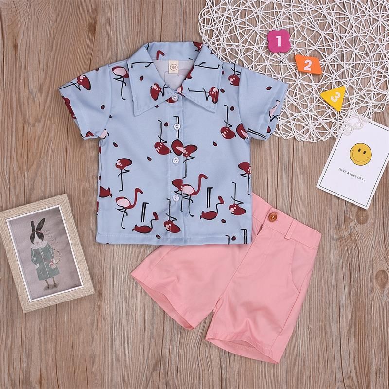 baby boy flamingo outfit