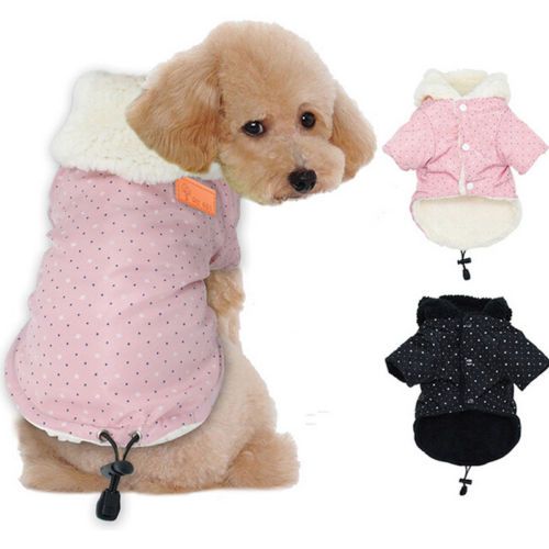 Roupa de inverno pet Clearance