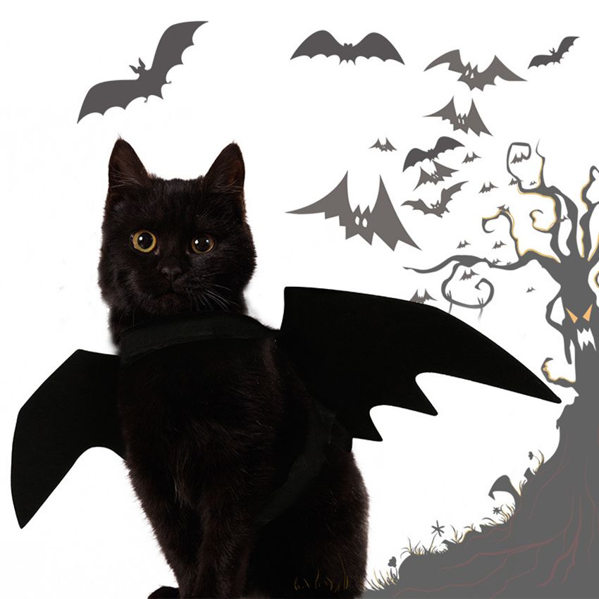 Acheter Halloween Pet Bat Costume De Chat Chauve Souris Costume Pour Halloween Pet Deguisements Pour Les Chats Petits Chiens De 1 Du Yxw Fr Dhgate Com