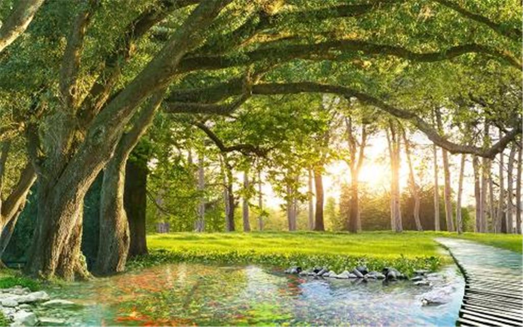 Custom Any Size Mural Wallpaper Green Big Tree Forest Park 3d Landscape Wallpaper Decoration Indoor Exquisite Moisture Wallpaper Custom Any Size Mural Wallpaper Green Big Tree Forest Park 3d Landscape Wallpaper Decoration Indoor Exquisite Moisture Wallpaper