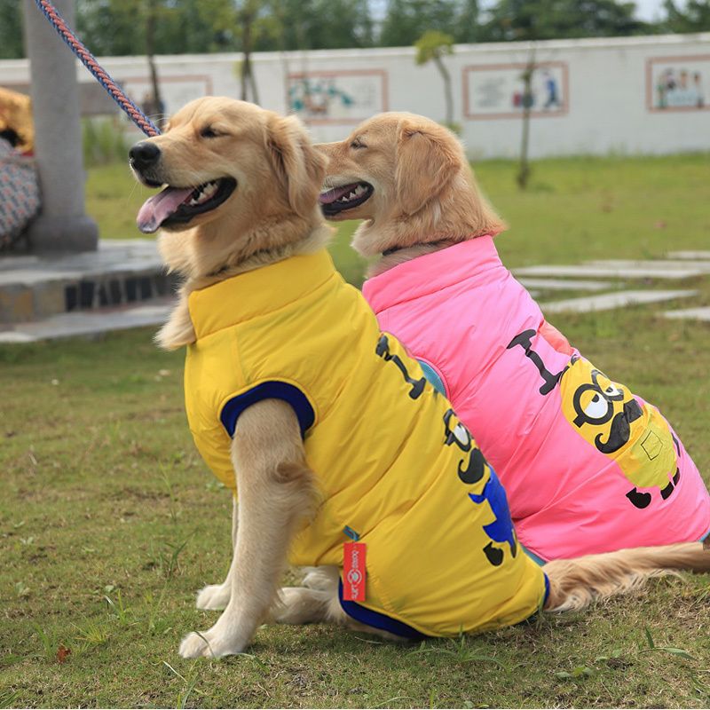 dog clothes for golden retrievers