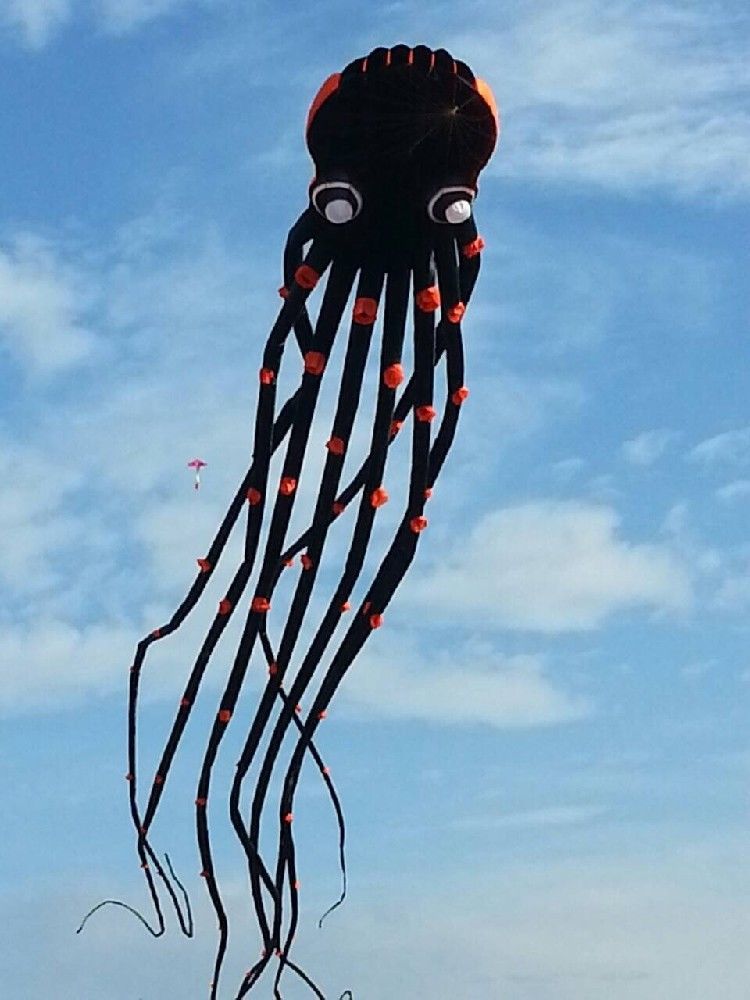 3D eyes 15m Black 1 Line Stunt Parafoil Octopus POWER Sport Kite outdoor toy 