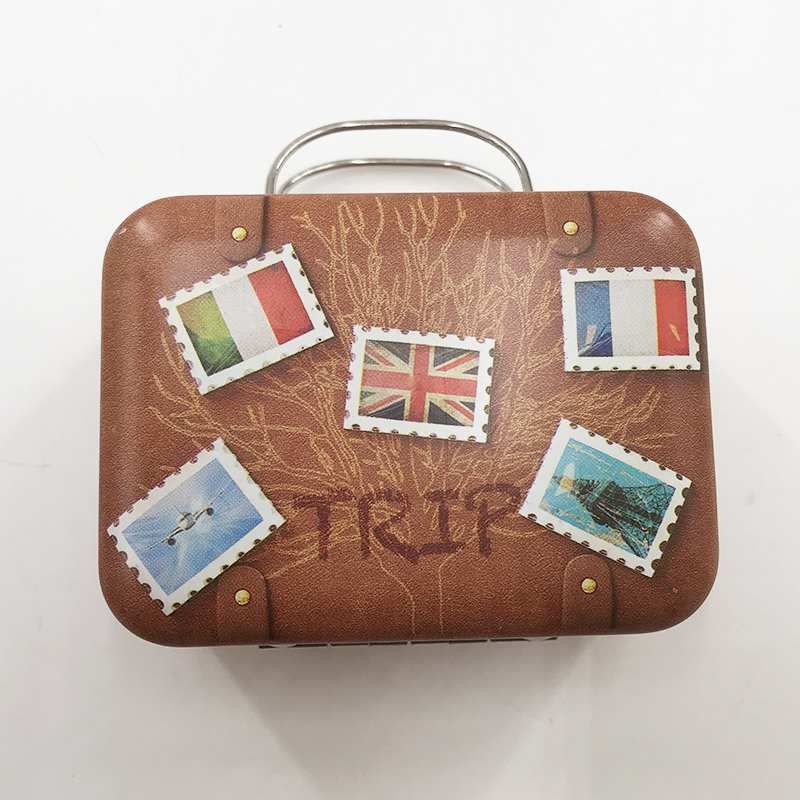 Suitcase Luggage Eyelash Box8