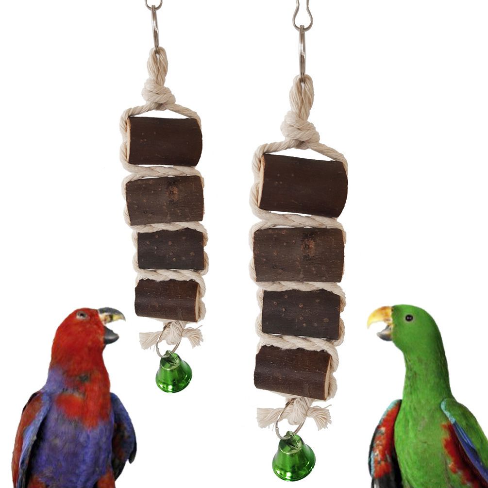 parrot toys online