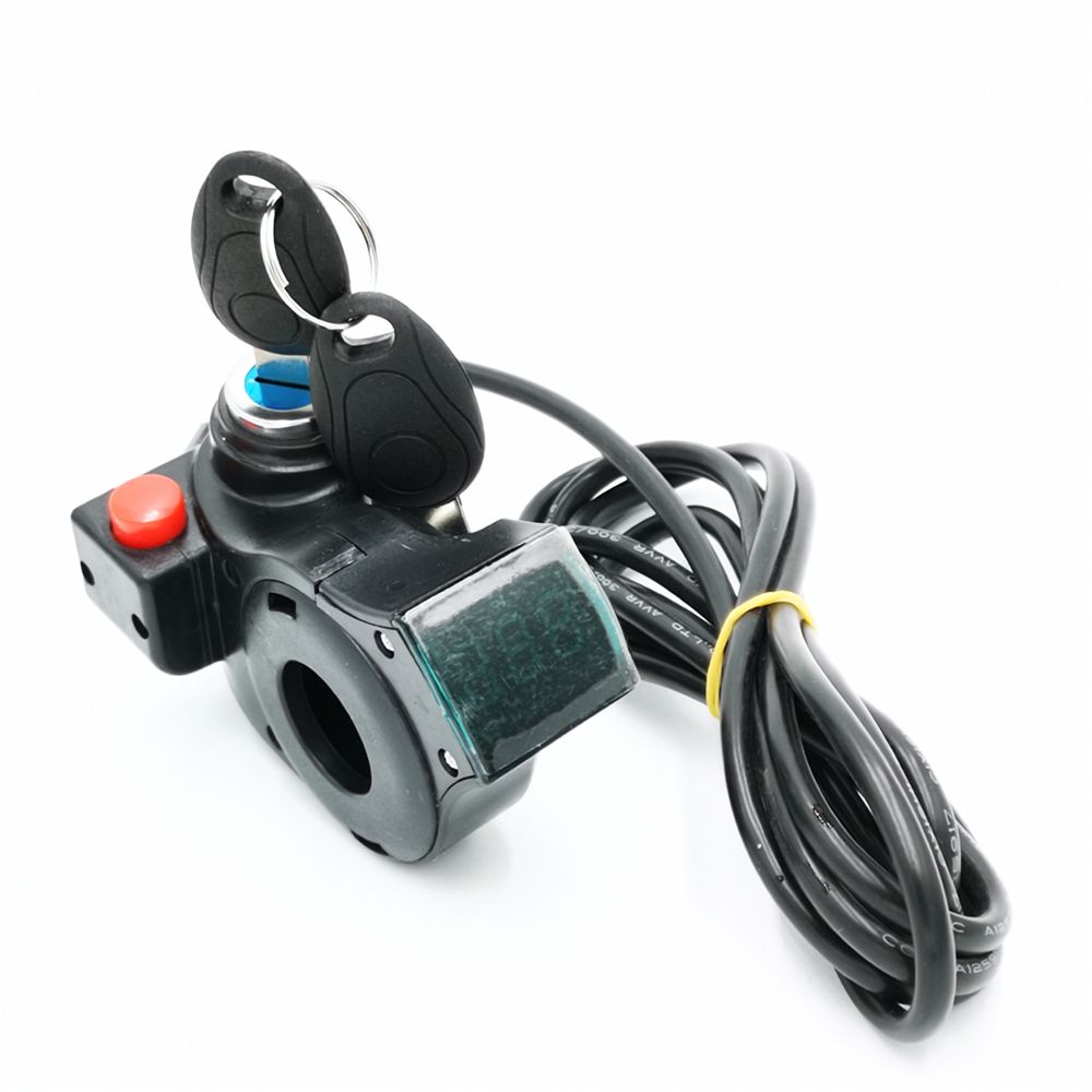 electric bike accelerator price