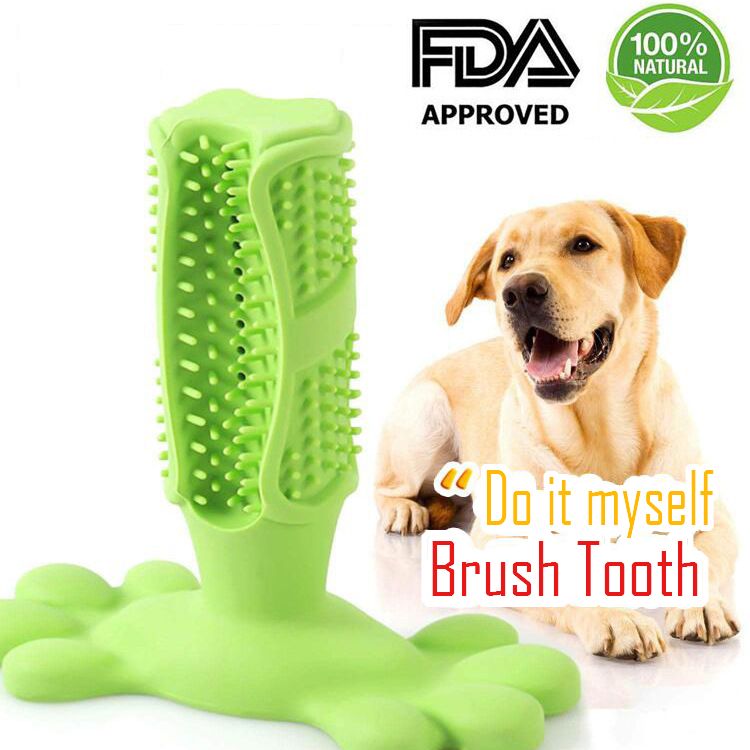 dog toothbrush stick