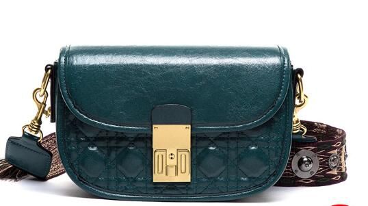 small brahmin handbags