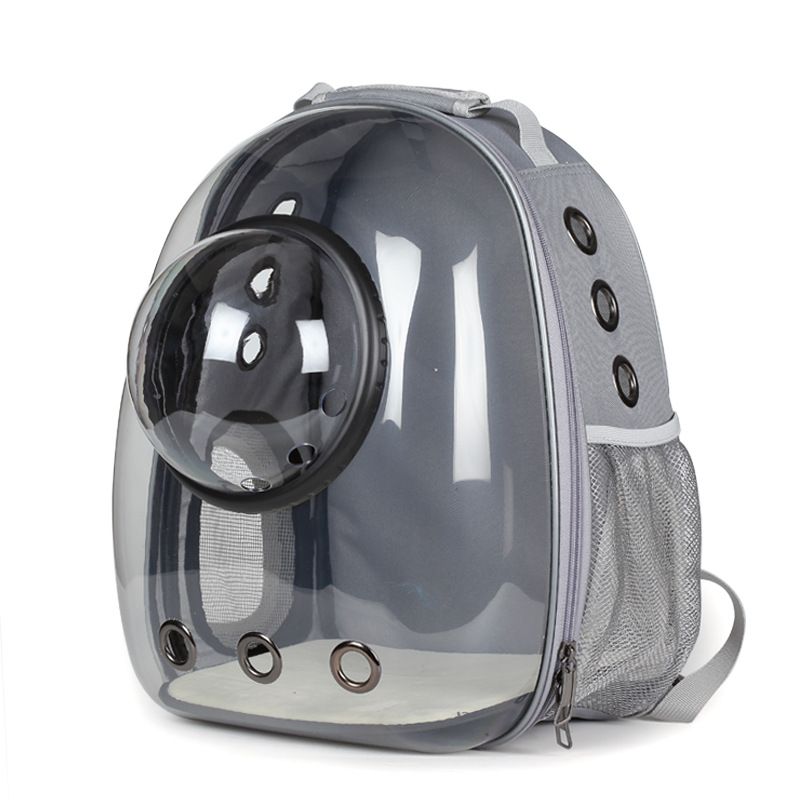 cat transparent backpack