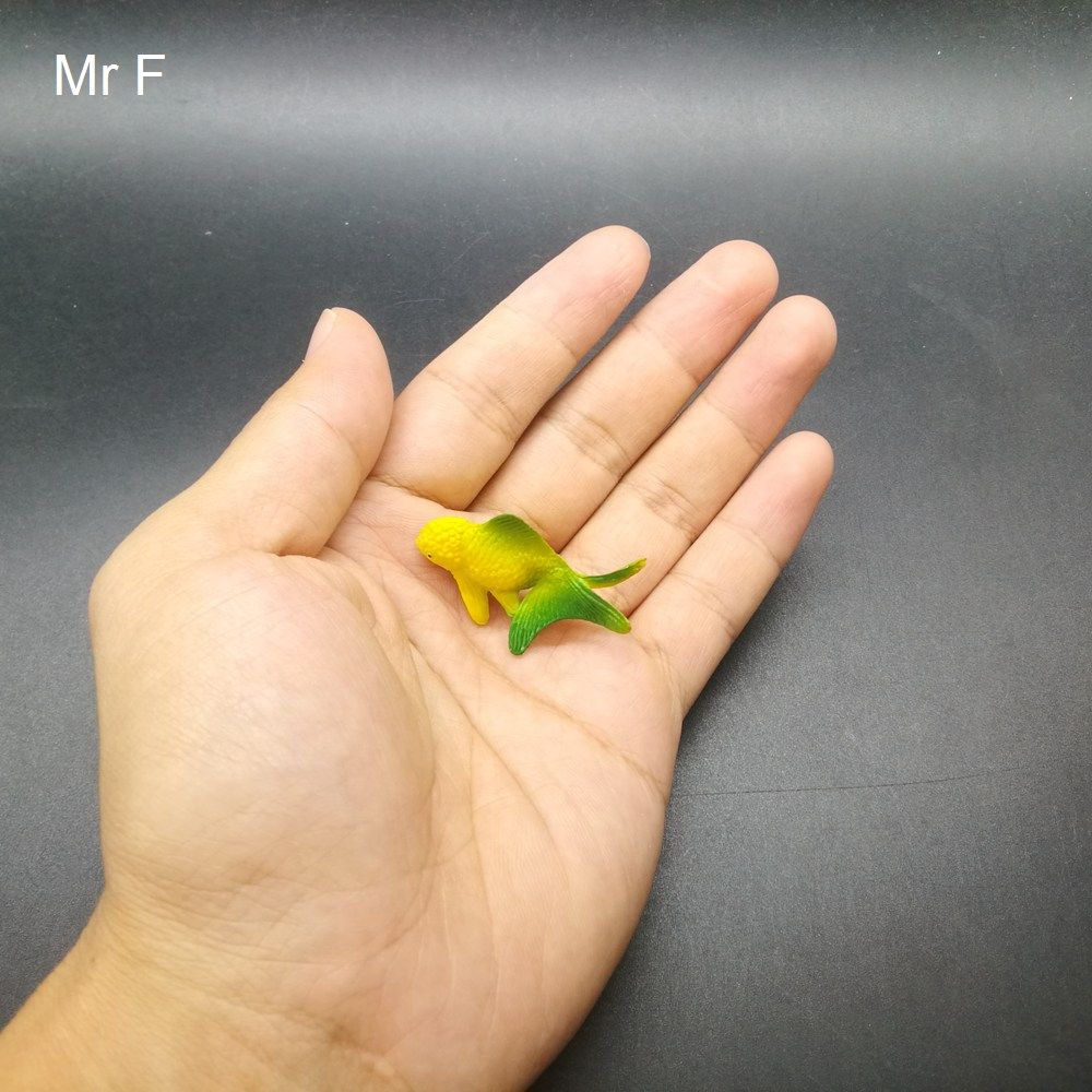 diy goldfish toys