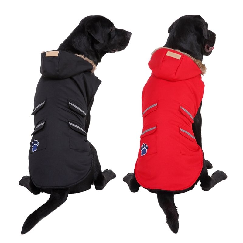 puppy waterproof jacket