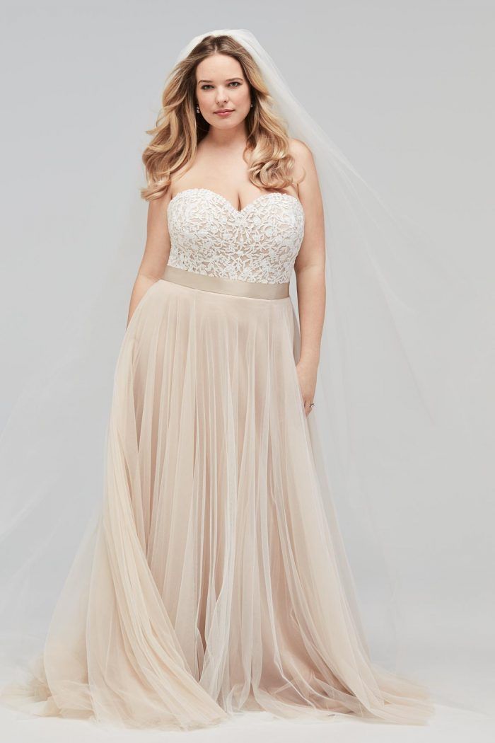 champagne dress plus size