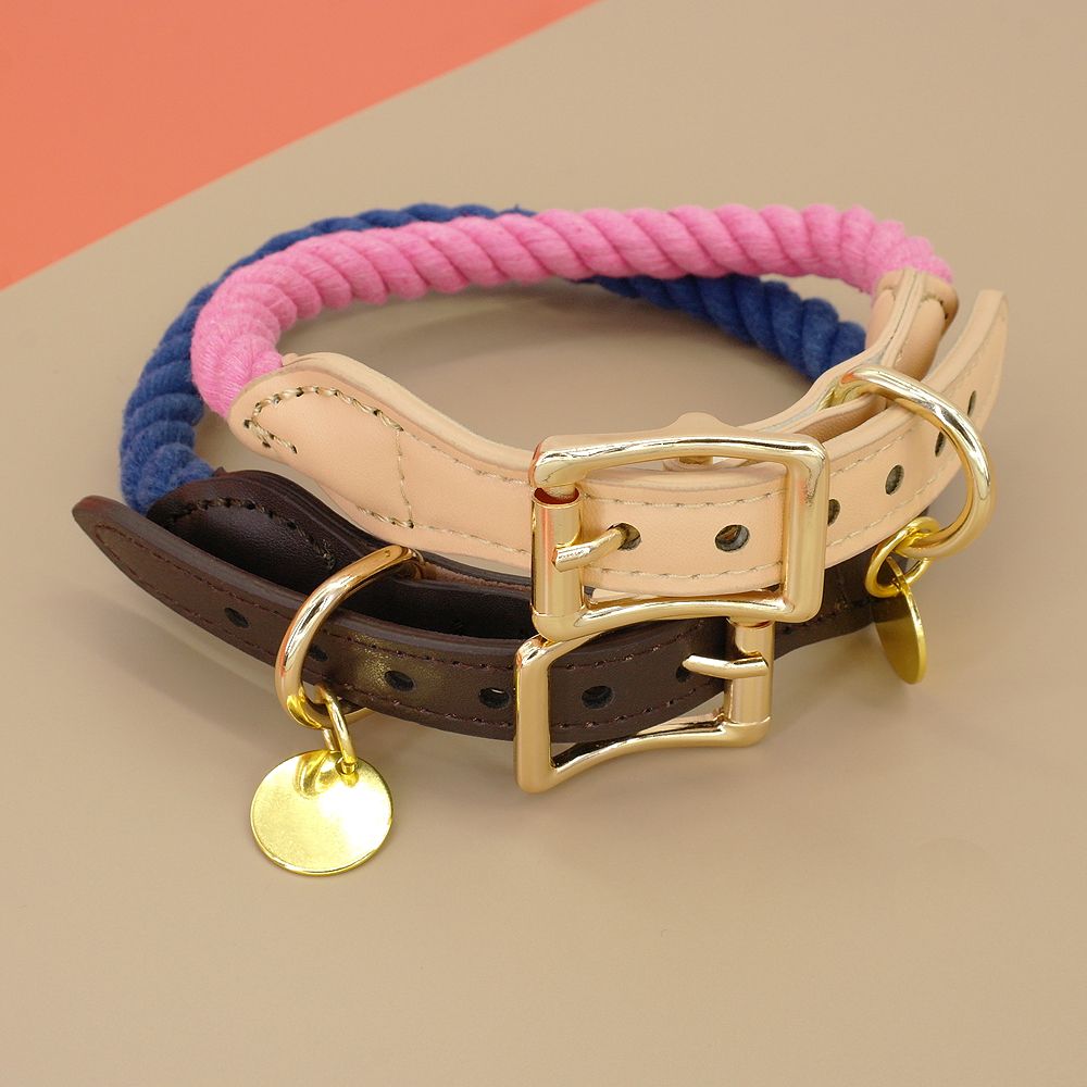 personalized dog leashes