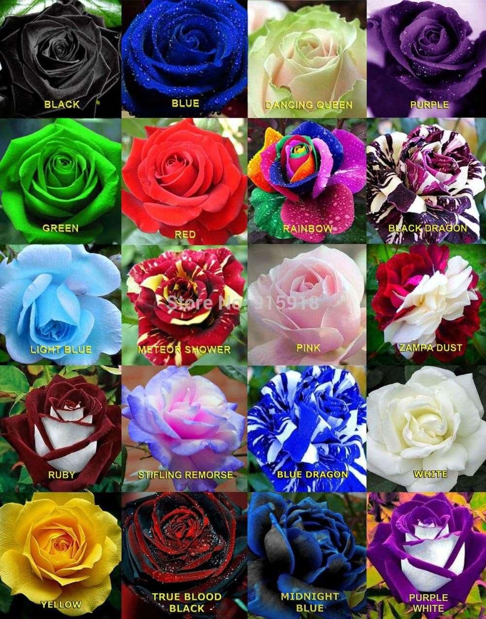 differentes couleurs rose differentes couleurs rose