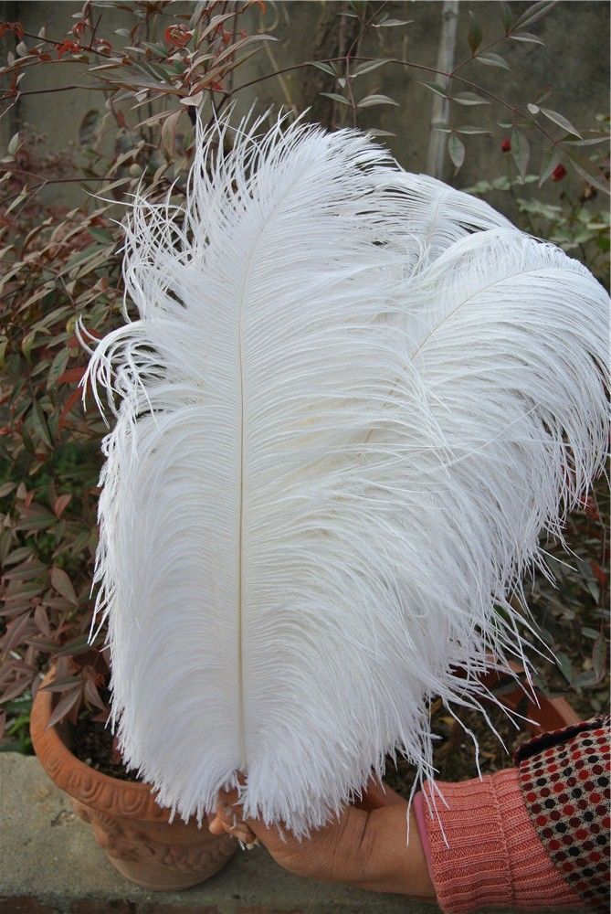 Gratis verzending 100 stks / partij 16-18Inch 35-40 cm witte struisvogel veer pluimen voor bruiloft centerpiece bruiloft party event decor feestelijke decor