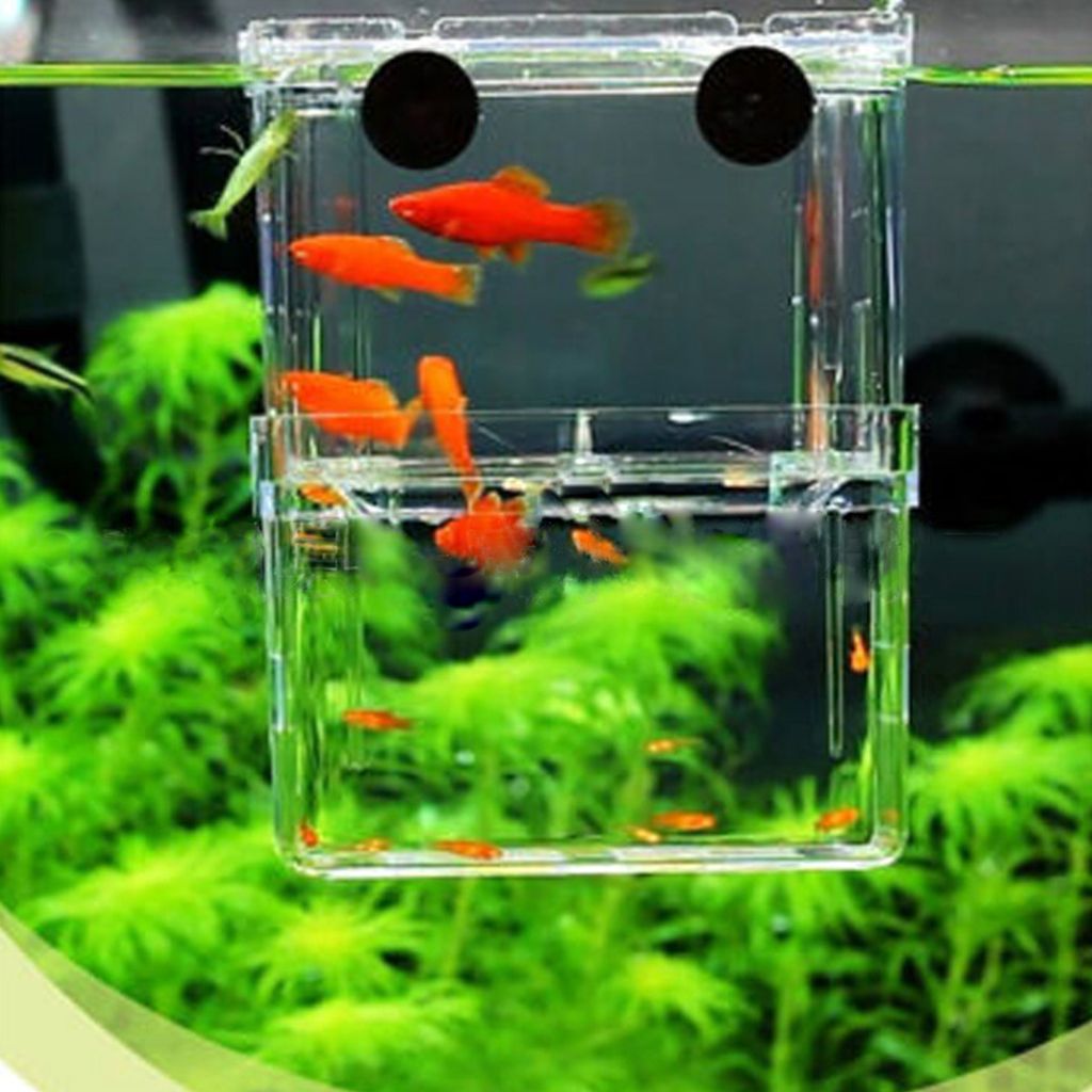2019 Multifunctional Fish Breeding Isolation Box Hanging Fish Tank