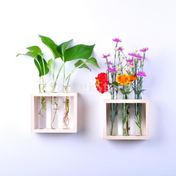 hanging flower vase bottle in wood stand terrarium home party