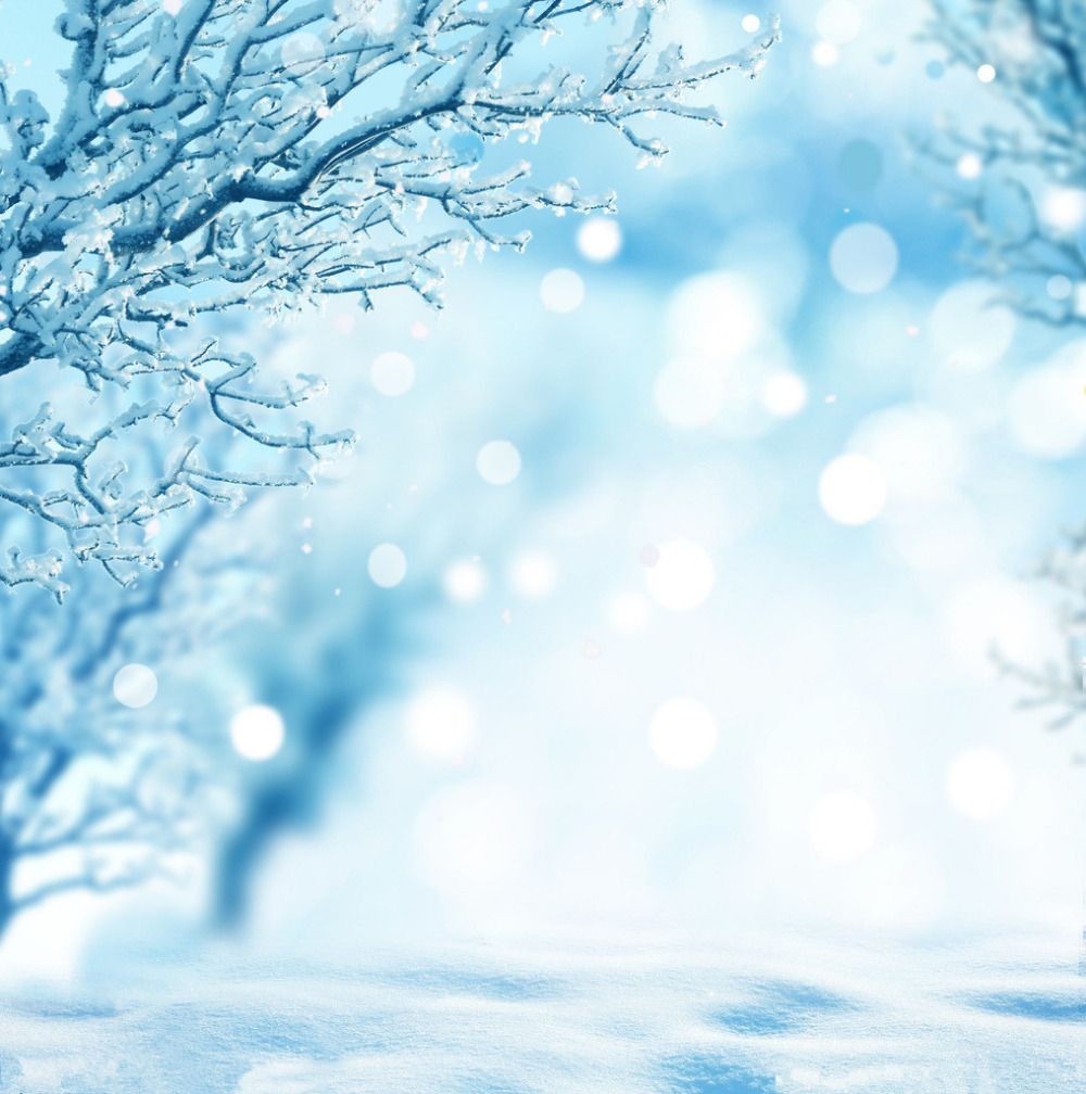 2020 10X10ft Winter Backdrop Vinyl Photography Backdrops Props