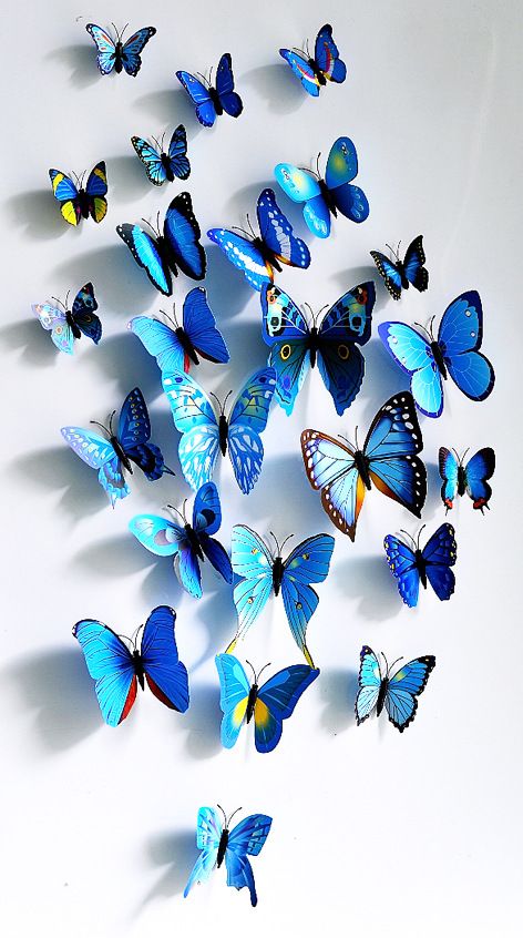Cute Set 3d Butterfly Wall Stickers Butterflies Docors Art Diy Decorations Paper Mixed Colors Christmas Decoration E6m Lettering Decals Motifs Cute Set 3d Butterfly Wall Stickers Butterflies Docors Art Diy Decorations Paper Mixed Colors Christmas Decoration E6m Lettering Decals Motifs