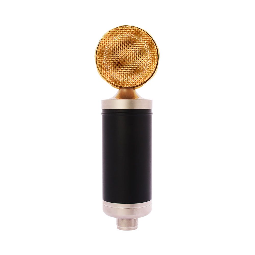 Recording Microphone Unidirectional Condenser Mic For Studio