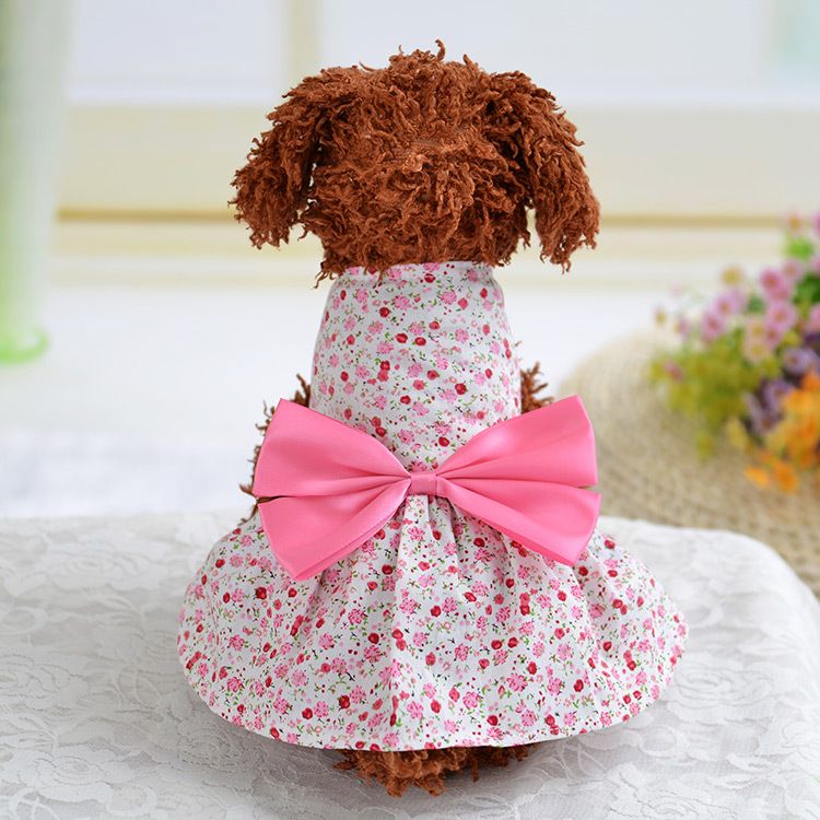 female puppy clothes