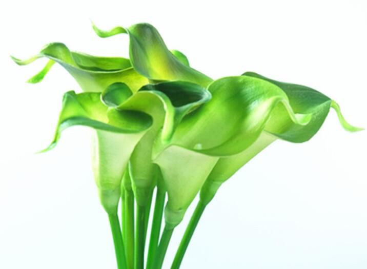Mini Calla Lily For Wedding Bouquet Artificial Flower Real Touch For Home Wedding Party HP008
