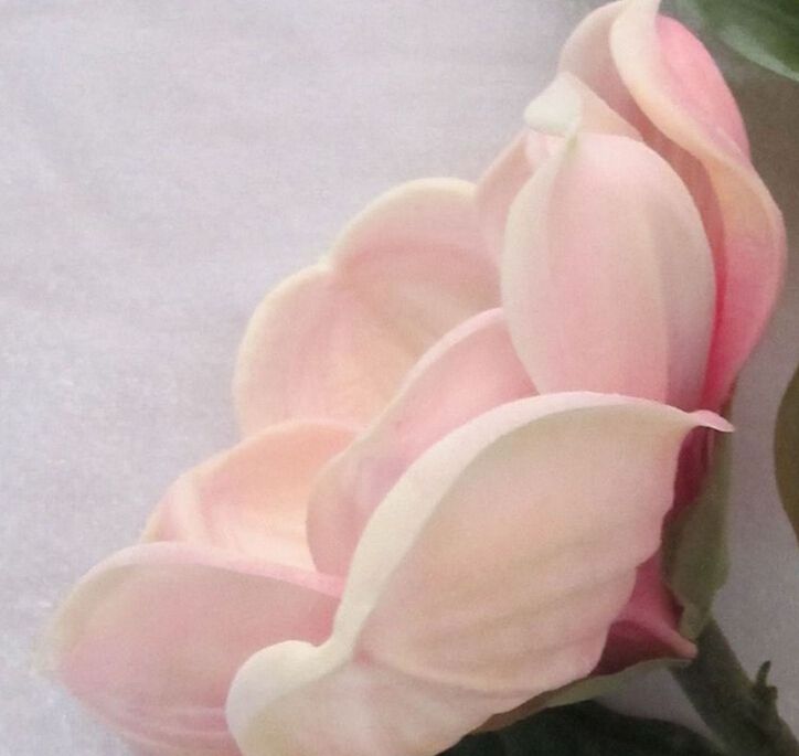Venda quente Flor de exibição Real Touch Mangnolia Artificial Magnolia Flor para casamento ou Flores decorativas em casa