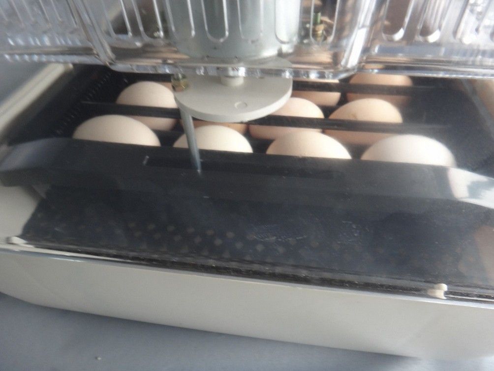 Original%20good%20quaility%20automatic%20mini%20egg%20incubator%20poultry%20brooder%20chicken%20hatcher%20JANOEL24%20with%20CE%20certificate.jpg