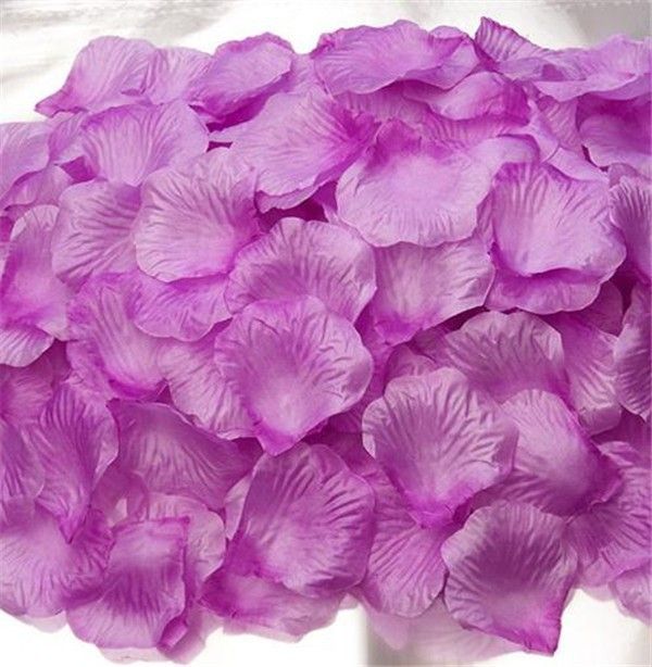300 l/'Asclépiade commune Wildflower Semences-everwilde Farms Mylar Graines Paquet