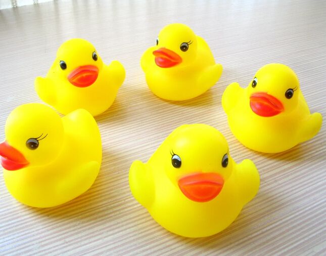 gros canard dans la chatte