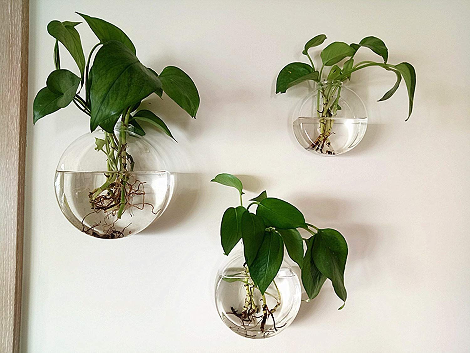 Set Of 3 Mixed Sizes Discoid Glass Wall Vase Mounted Plant Set Of 3 Mixed Sizes Discoid Glass Wall Vase Mounted Plant Planters Use For Indoor Gardening Home Decor Diy Gift Friends Wedding Vases