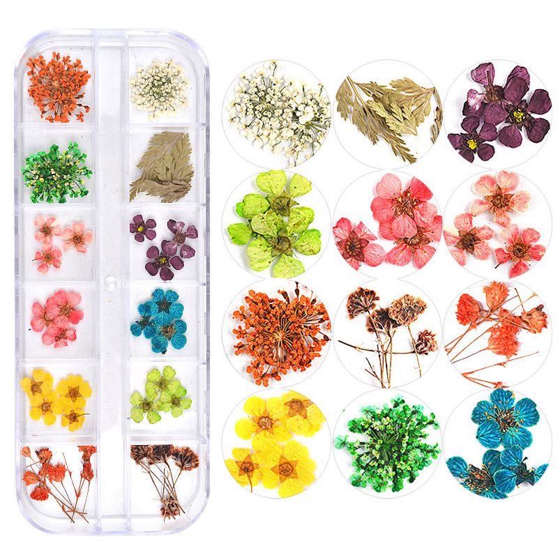 Icycheer Coloré 3d Décoré Réel Sec Fleur Séchée Pour Gel Uv Acrylique Ongles Diy Art Conseils Nail Art Décoration