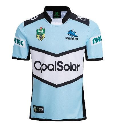 jersey shark