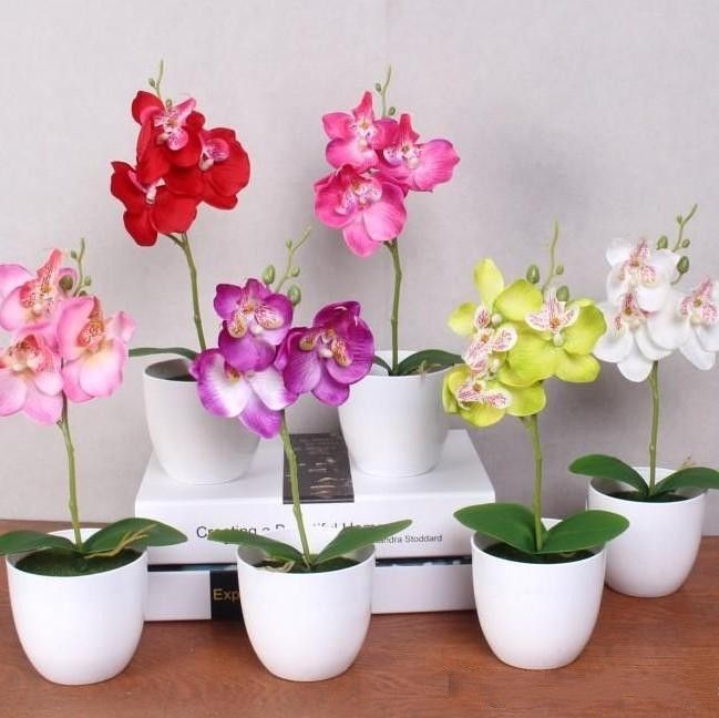 making orchid album making orchid album