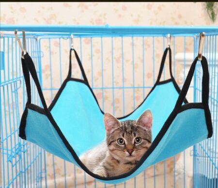 Acquista Cat Amaca Appesa Morbida Lana Criceto Gabbia Coniglio Letto