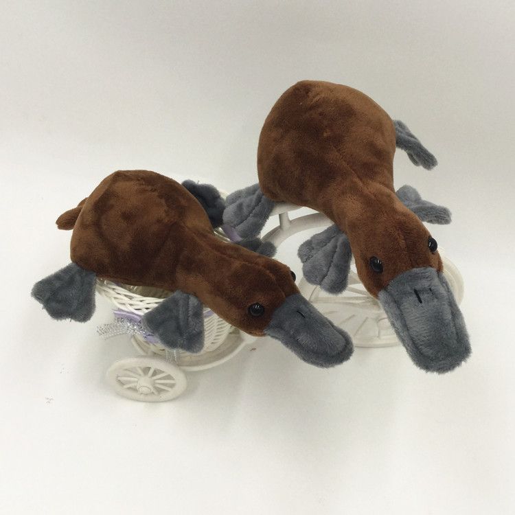 cute platypus plush