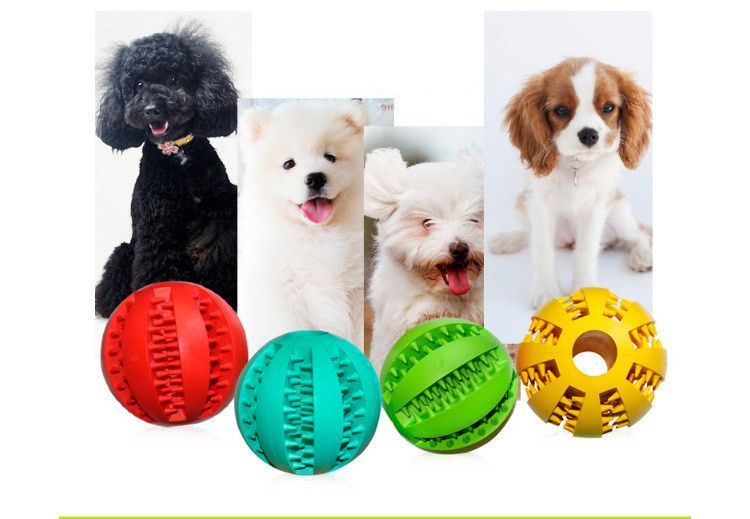 Chewy Vuitton Dog Toy Canada Price