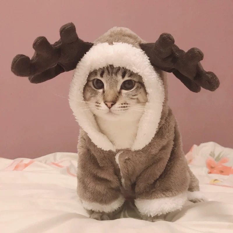 2019 Winter Cat Clothes Warm Fleece Pet Costume For Small Cats Kitten