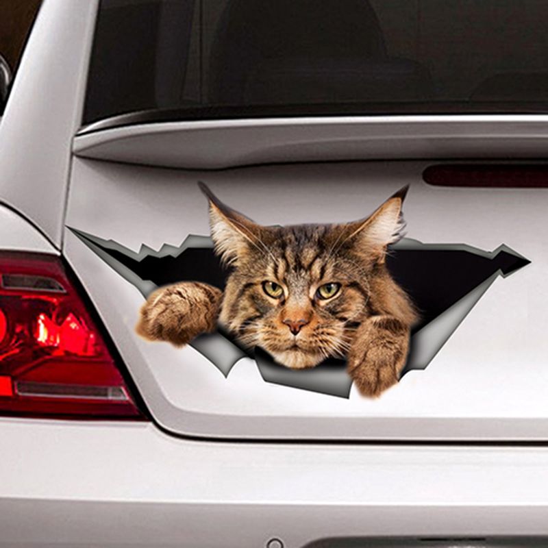 maine coon pop vinyl
