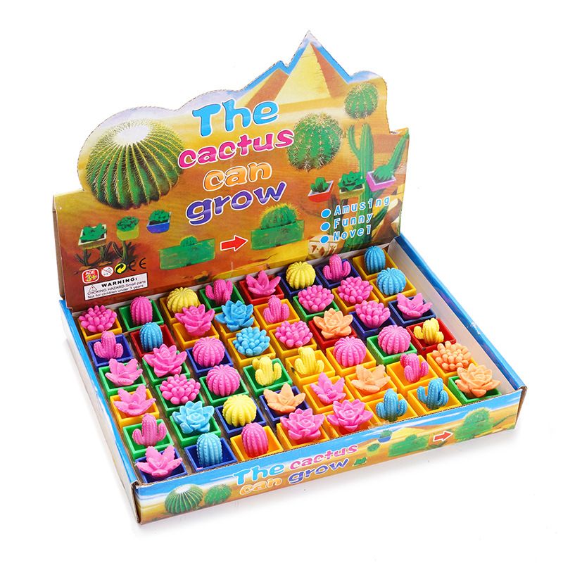 cactus toy price