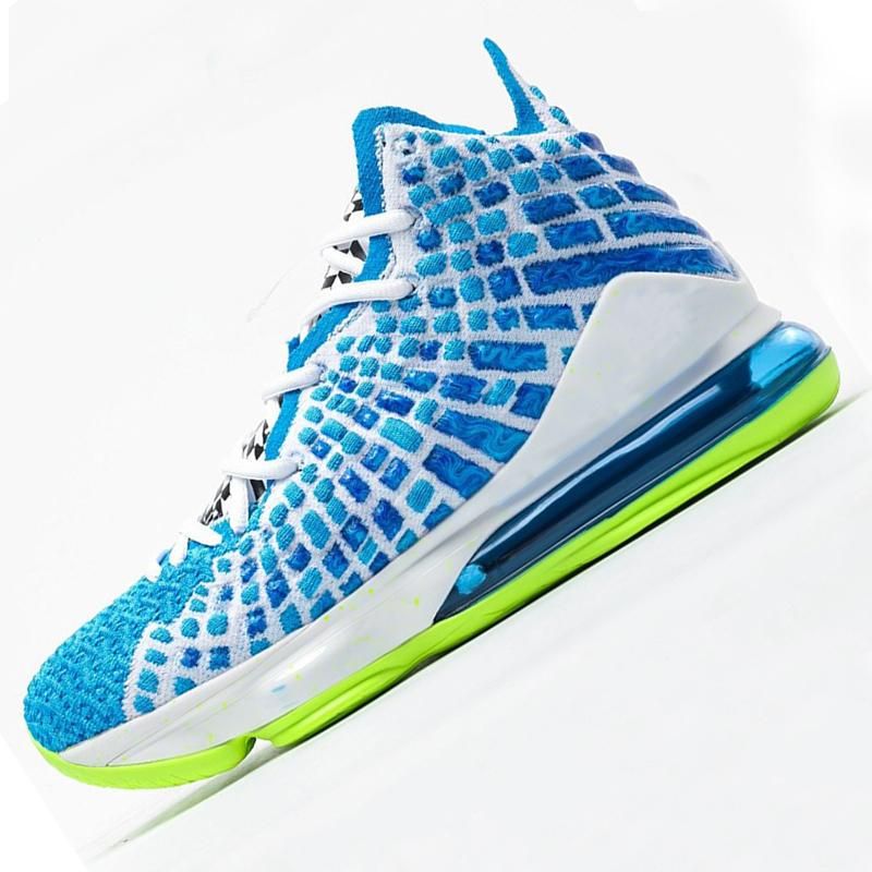 lebron james 17 low lakers