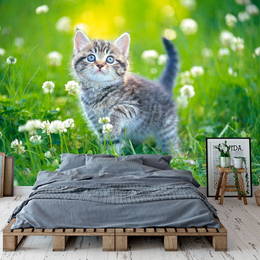 Satın Al Sevimli Kedi Duvar Kağıdı Özel 3D Duvar Resmi Içinde Yavru