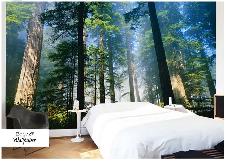 Großhandel 5D Papel Murals Wälder Tapete Natur Nebel Bäume 3d Wand ... Großhandel 5D Papel Murals Wälder Tapete Natur Nebel Bäume 3d Wand ...