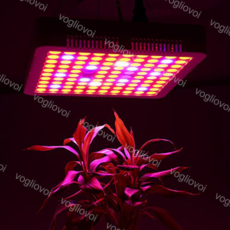 Full Spectrum 300W Led Grow Light Square Good Radiator Led Grow Tent
