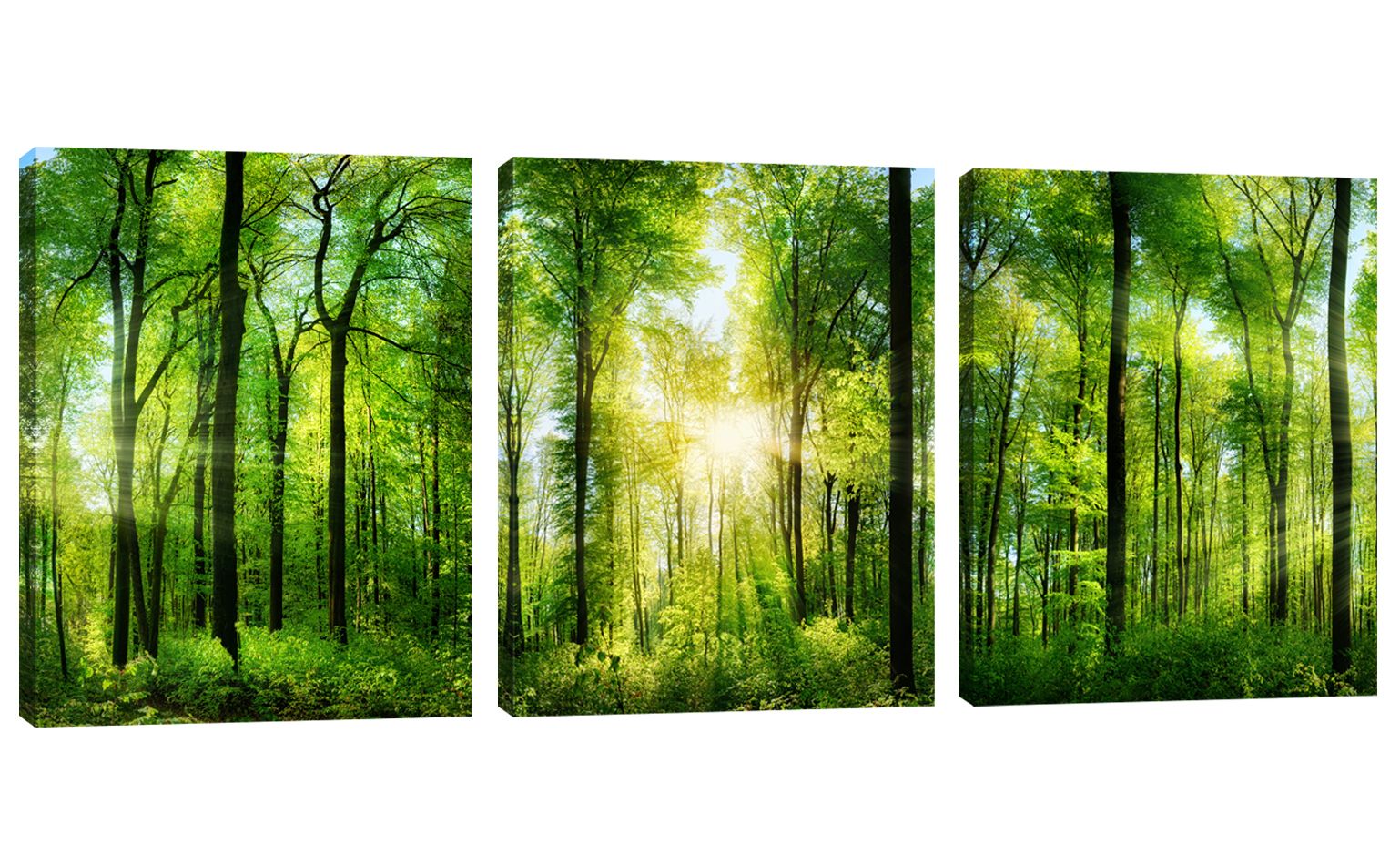 Acheter Forêt Verte Sans Cadre Imprime Sur Toile Tableau Peinture