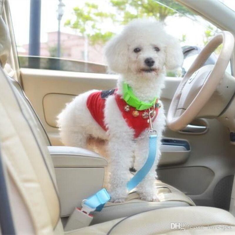 Pet Seat Belt >> E24 Free Shipping Dog Car Seat Belts Pet Seat Belt Dog Leashes Adjustable Pet Seat Belts Pet Seat Belt >> E24 Free Shipping Dog Car Seat Belts Pet Seat Belt Dog Leashes Adjustable Pet Seat Belts